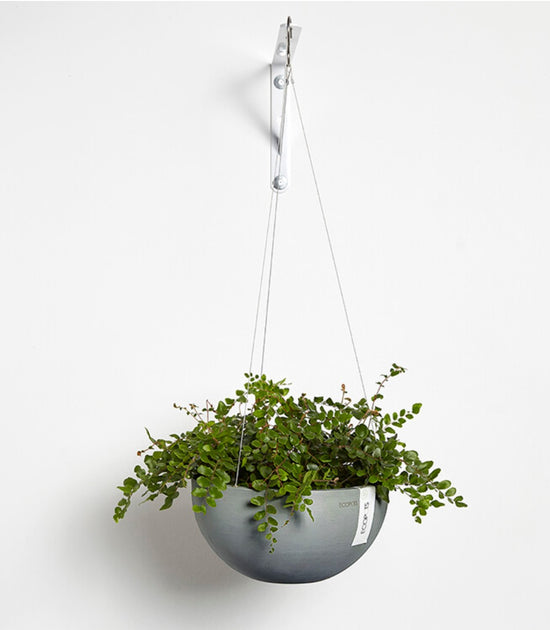 Eko Hanging Planters