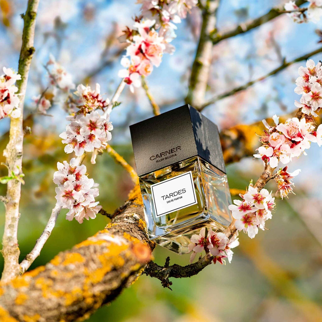CARNER BARCELONA | Tardes Eau de Parfum 50ml – Fora Studios Australia