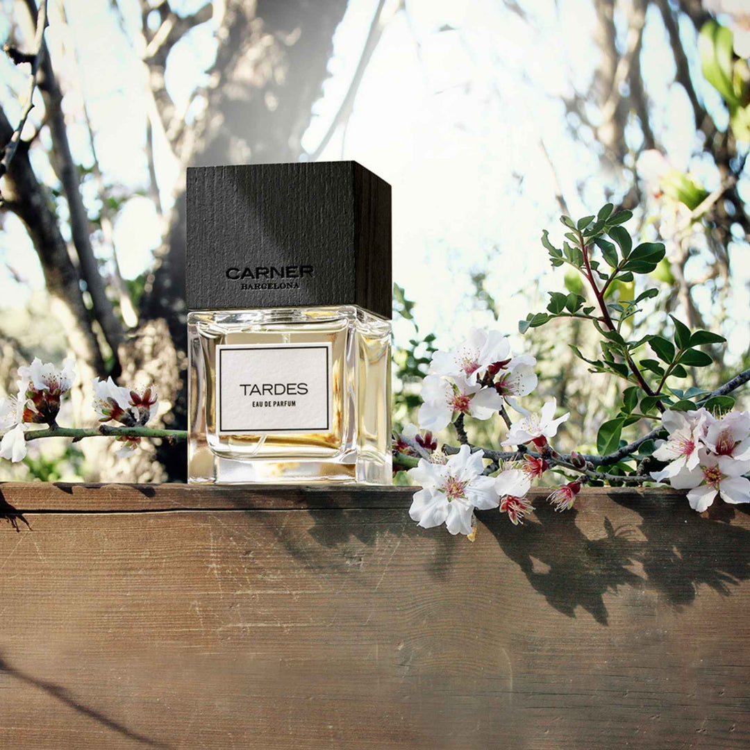CARNER BARCELONA | Tardes Eau de Parfum 50ml – Fora Studios Australia