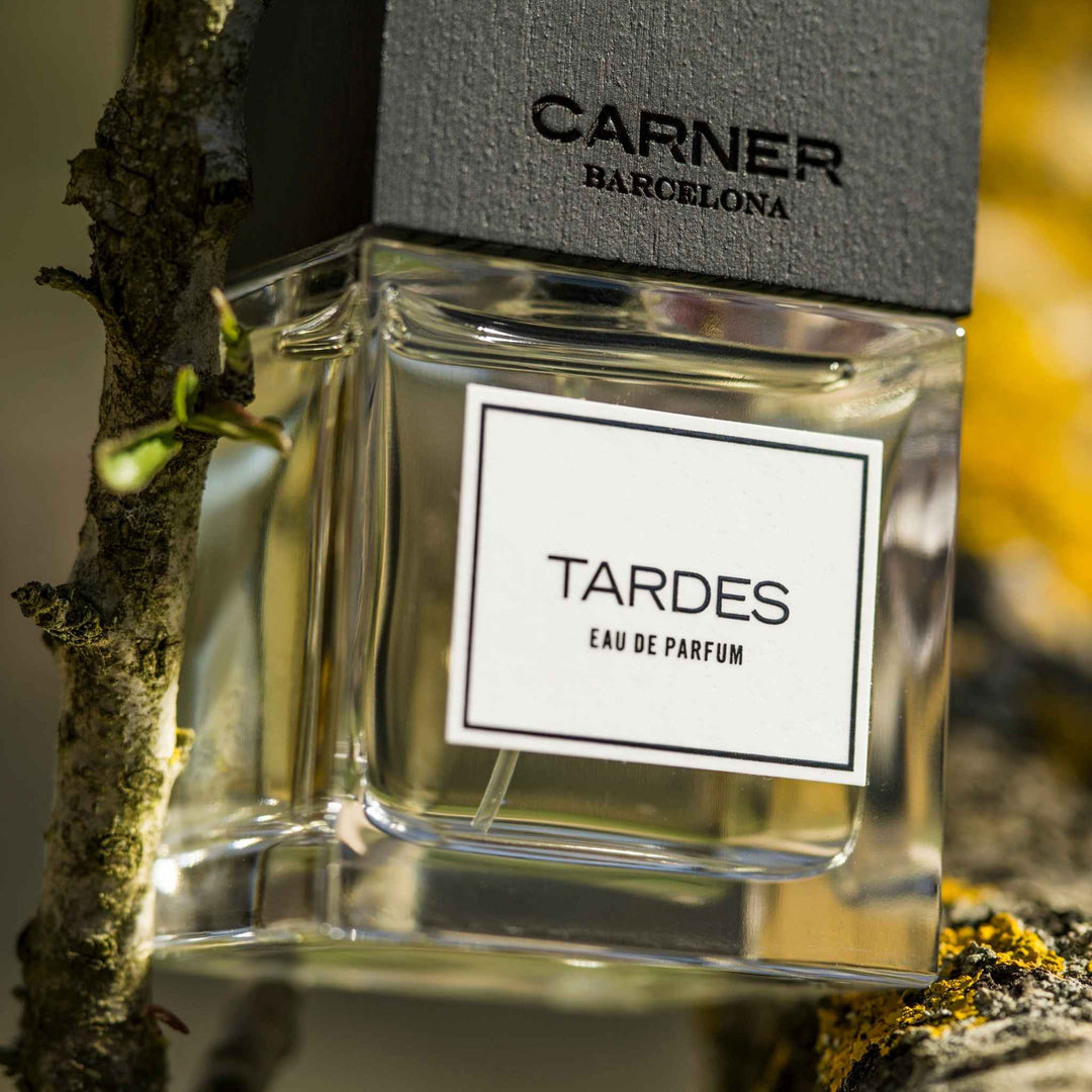 CARNER BARCELONA | Tardes Eau de Parfum 50ml – Fora Studios Australia