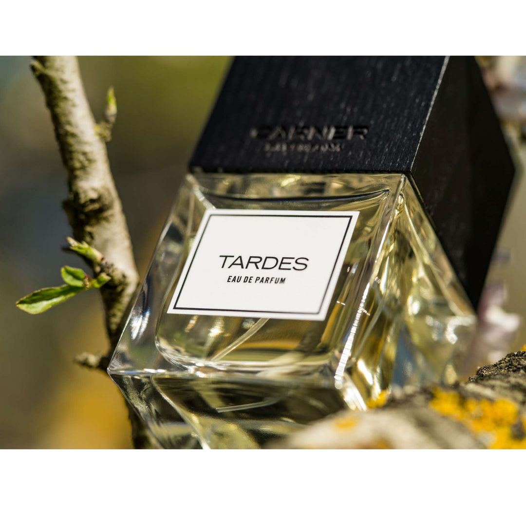 CARNER BARCELONA | Tardes Eau de Parfum 50ml – Fora Studios Australia